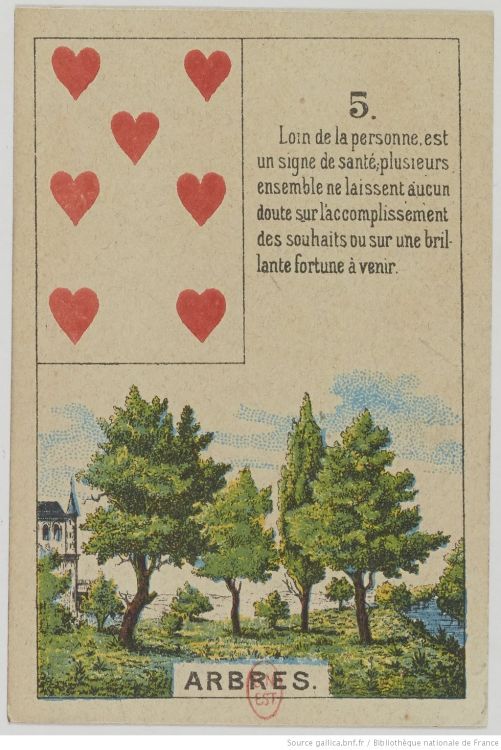 5. El Árbol : Paciencia, Energía, Crecimiento, Transmisión