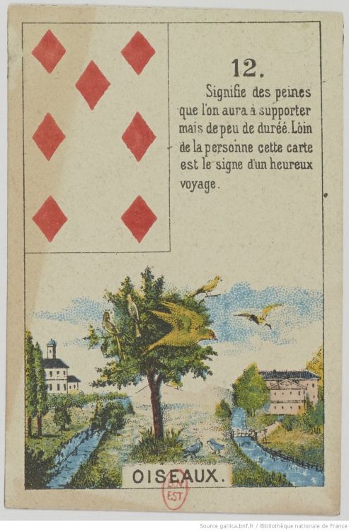 12. Los Pájaros : Información, Comunicación, Negociación