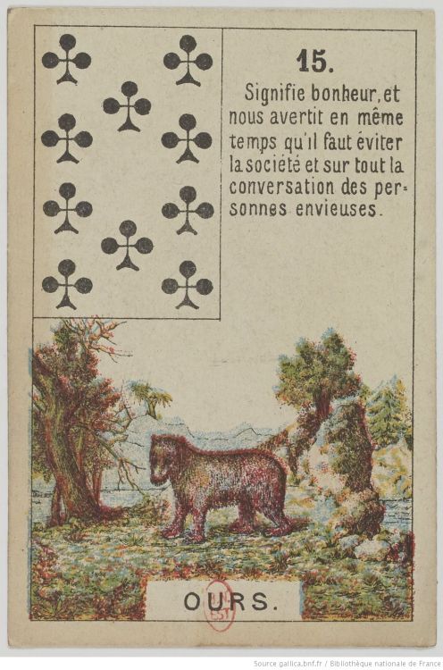 15. El Oso : Fuerza, Valor, Salvaje, Soledad, Hibernación