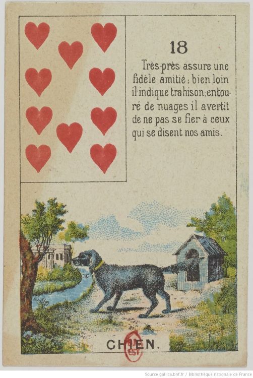 18. El Perro : Amistad, Fidelidad, Lealtad, Confianza