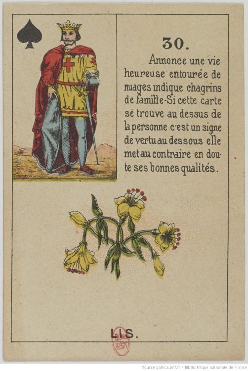 30. Los Lirios : Nobleza, Lealtad, Pureza, Fecundidad, Fertilidad