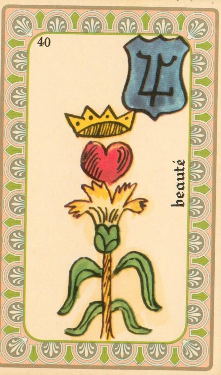 40 - Beauty