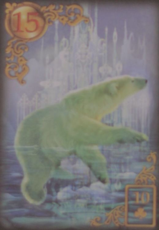 15 - Oso