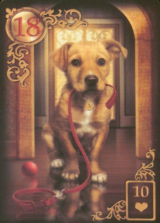 18 - Perro