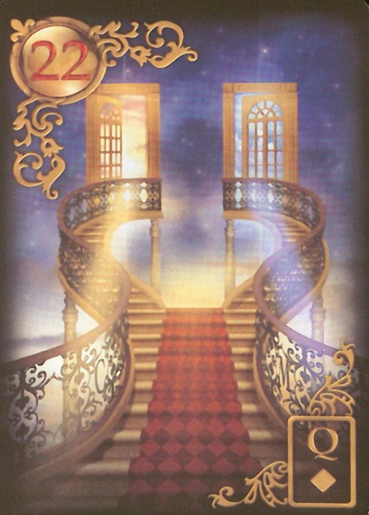 22 - Elección