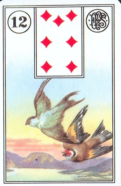 12 - Los Pájaros